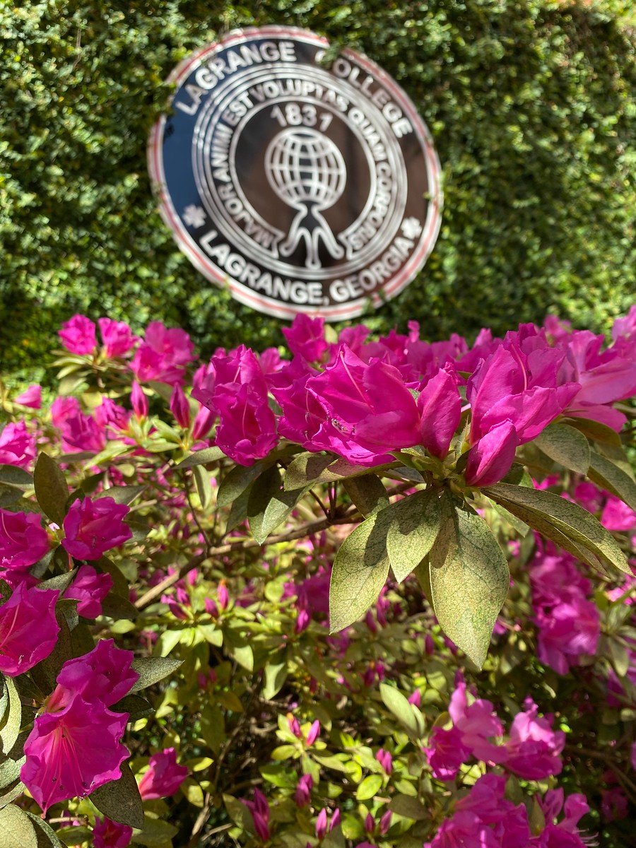 the college seal agains a backdrop of green ivy