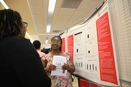 Undergraduate Research