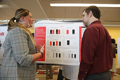 Undergraduate Research