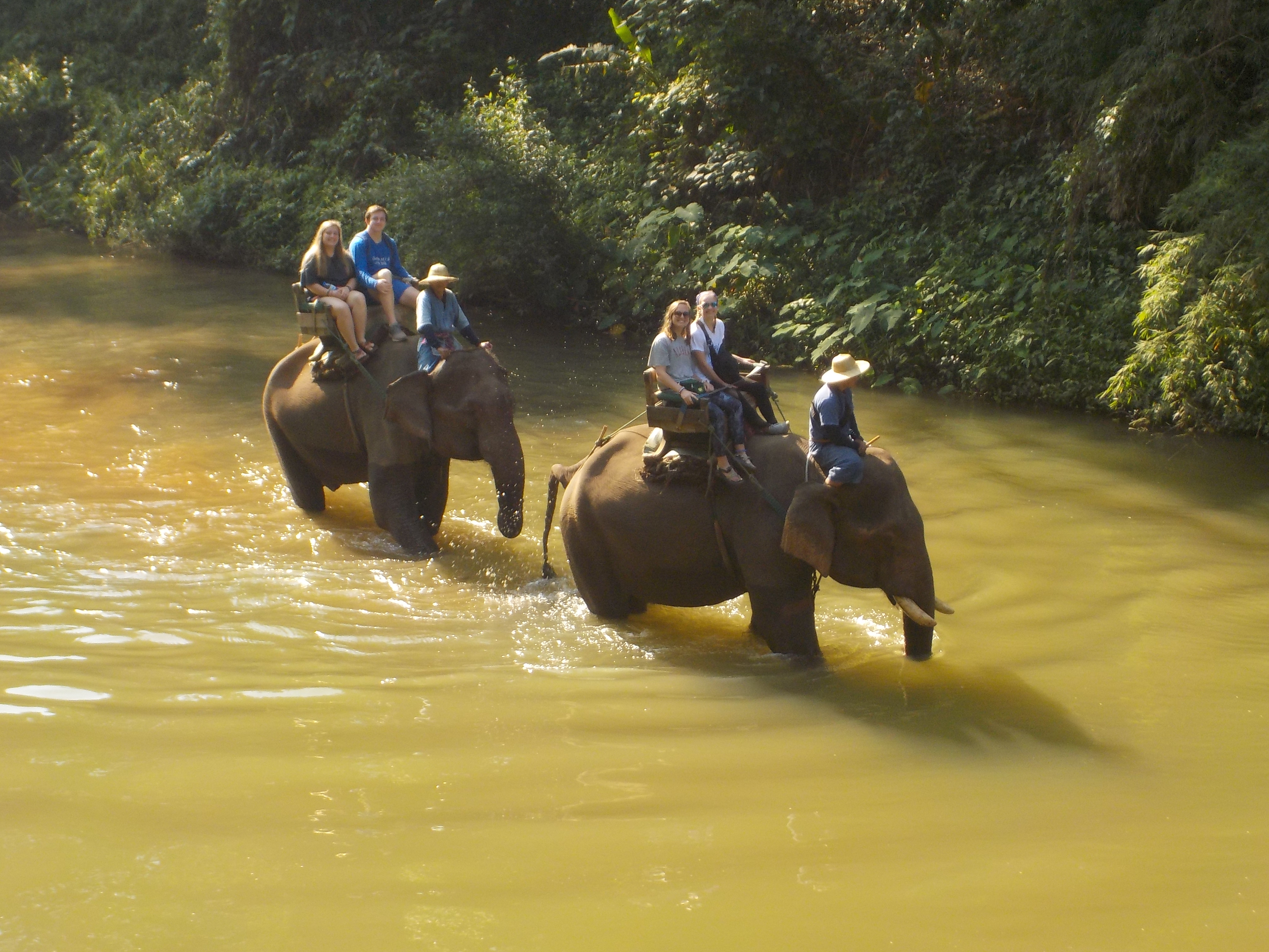 students riding elephants